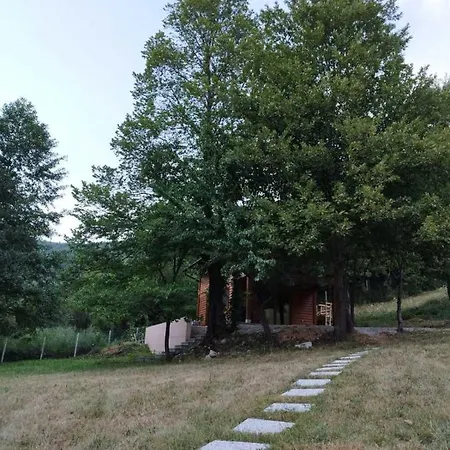 Kuca U Sumi - Forest House Near National Park - Air Lohovo