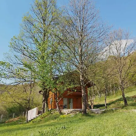 Kuca U Sumi - Forest House Near National Park - Air Lohovo *