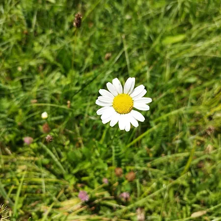 ロッジ Kuca U Sumi - Forest House Near National Park - Air Lohovo Bihać